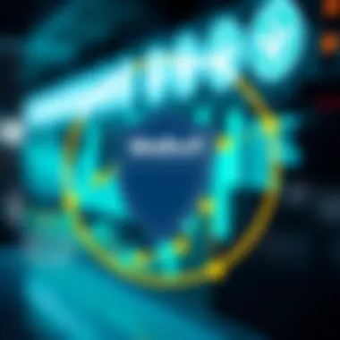 An infographic showcasing Webull's investor protection protocols