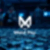 Visual representation of Metal Pay’s logo and branding