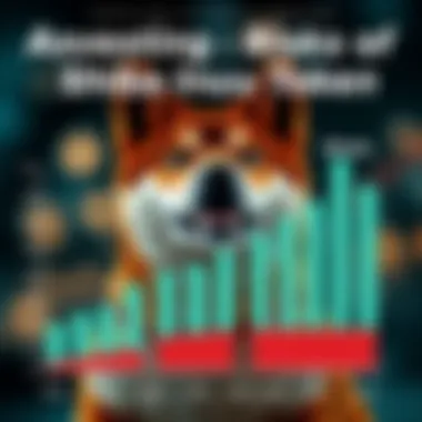 Graph showing potential risks associated with investing in Shiba Inu Token