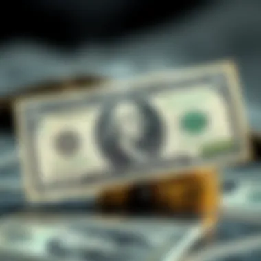 The United States Dollar in Today's Global Economy Current global role of the United States Dollar